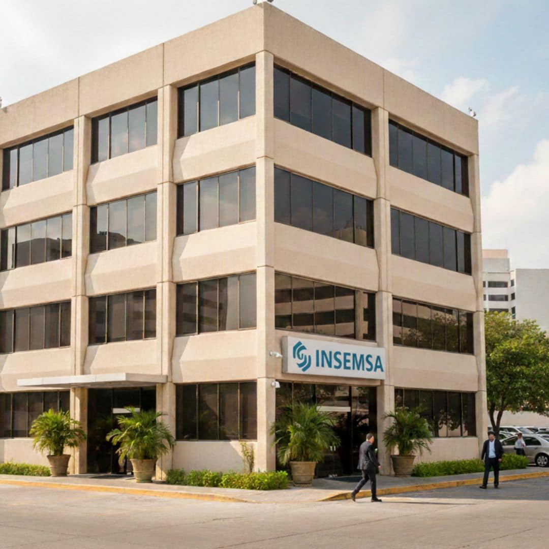 mediana y gran empresa